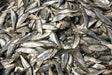 Chapila 500GM