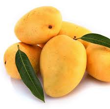 Dominican Mango