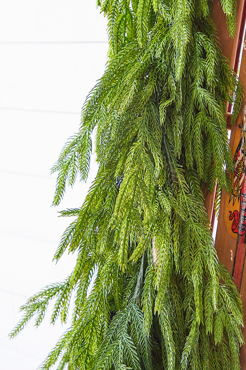 47 inch Real Touch Norfolk Pine Dripping Garland