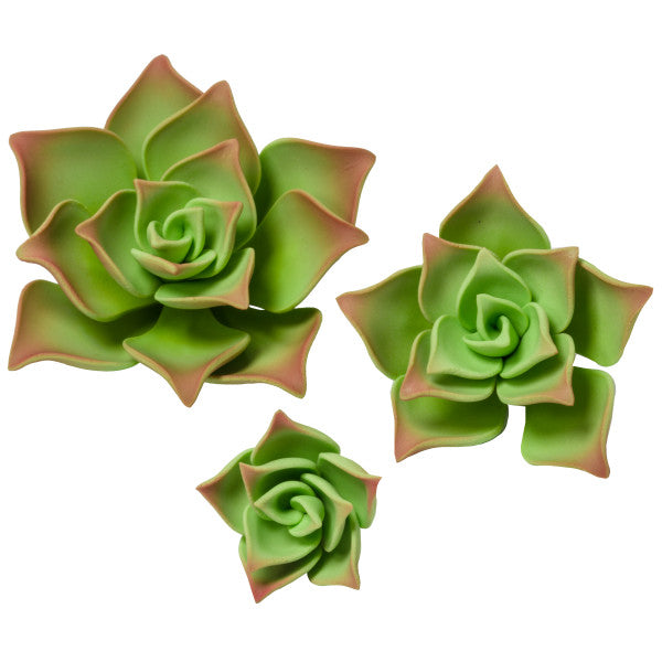 Green Succulents Gum Paste Flowers - 12 per order