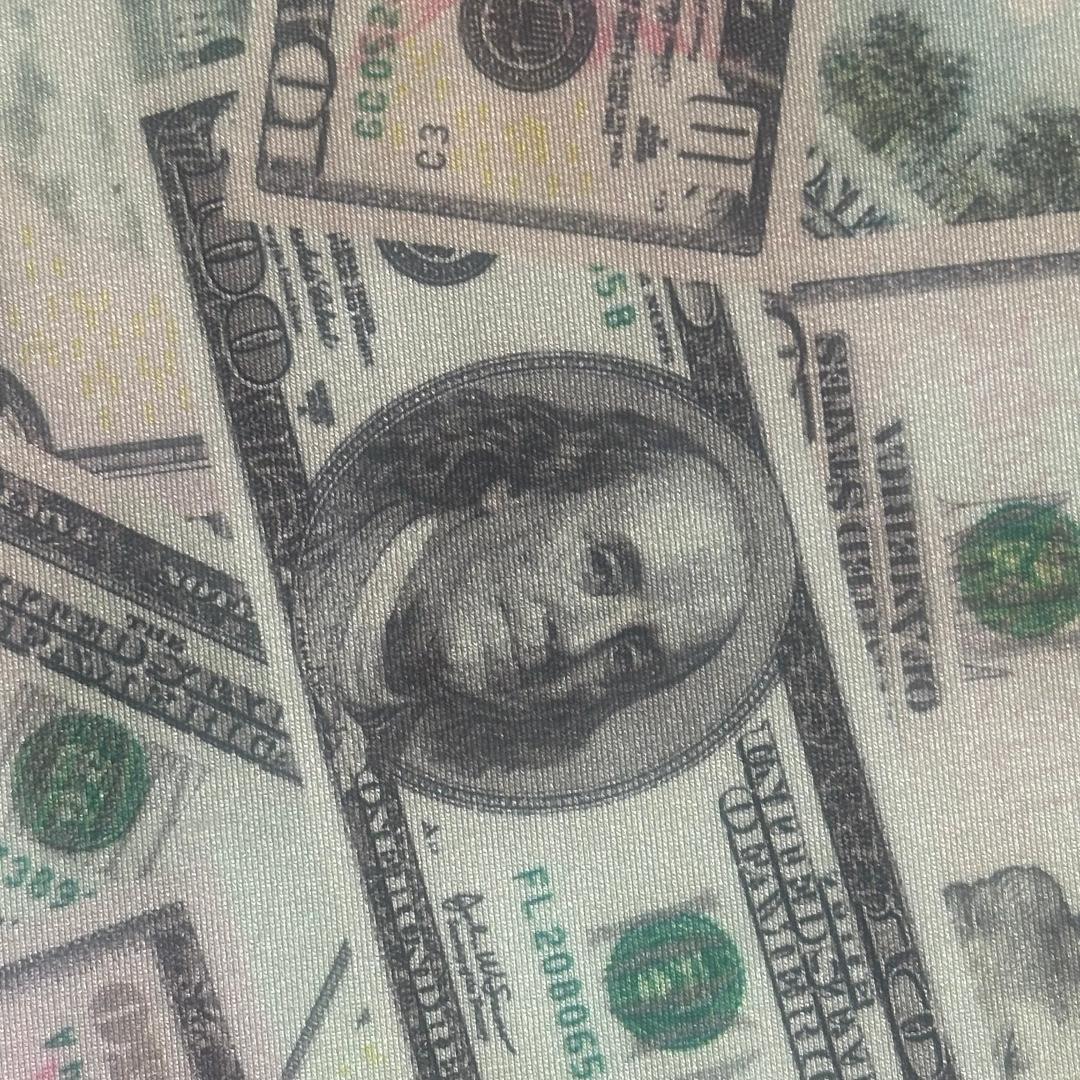 Money Print Spandex Fabric 4-Way Stretch Multicolor 60"