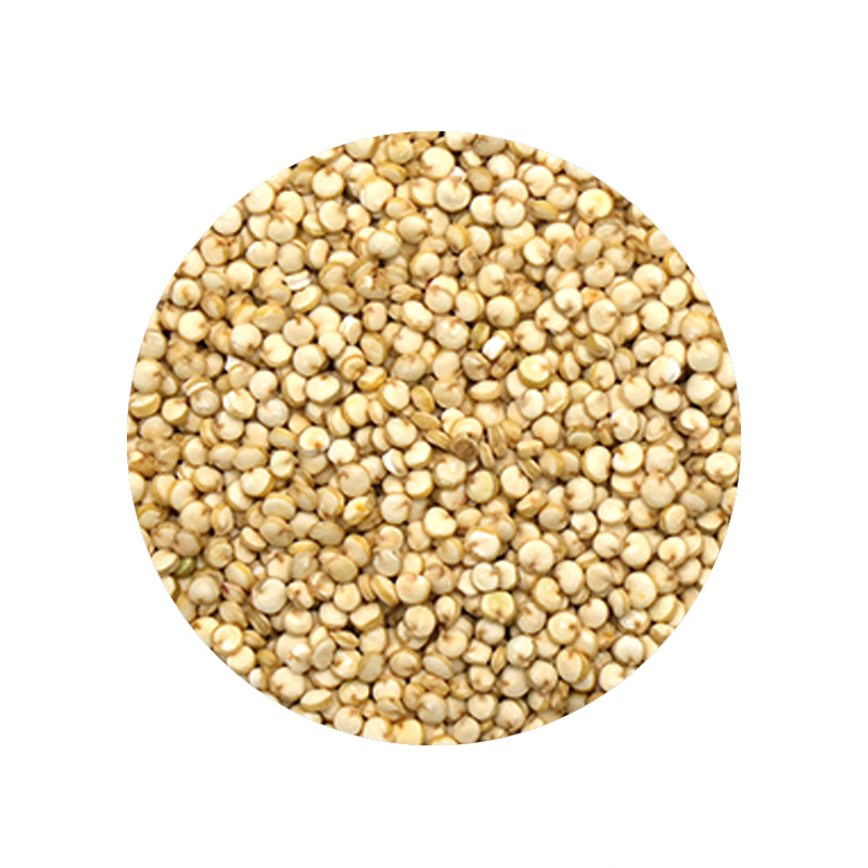 Organic White Quinoa 1 Pound