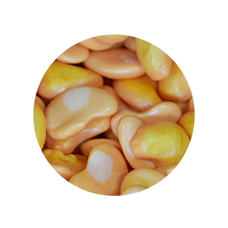 Spicy Gummi Mangos 1 Pound