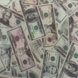 Money Print Power Mesh Fabric 60" Multicolor Sheer 4-Way Stretch