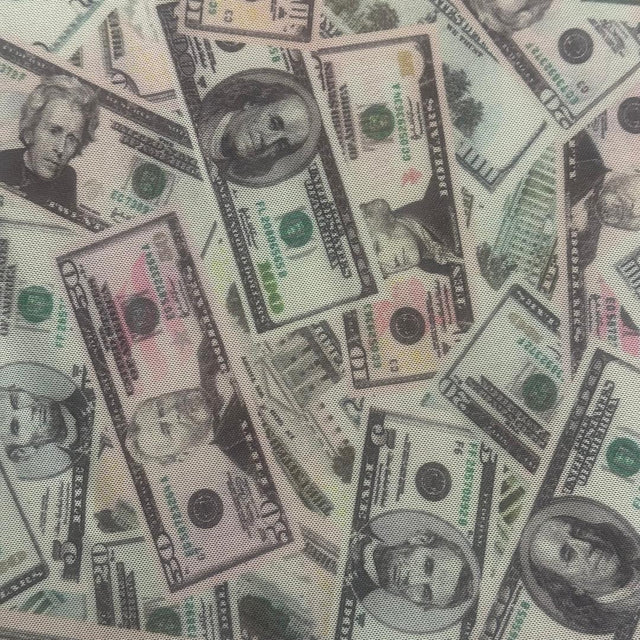 Money Print Power Mesh Fabric 60" Multicolor Sheer 4-Way Stretch
