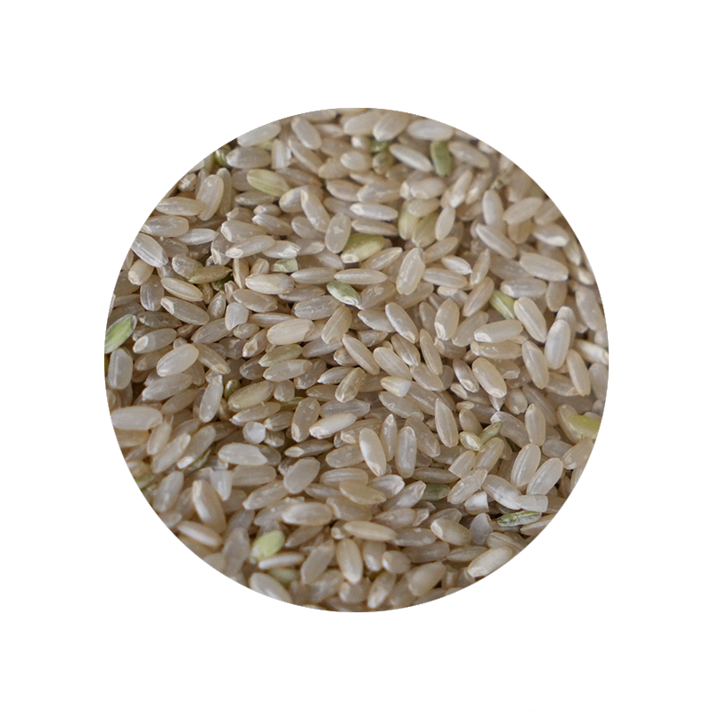 Bulk Foods - Short Brown Rice - Bulk Bin 1654 (25 pounds)