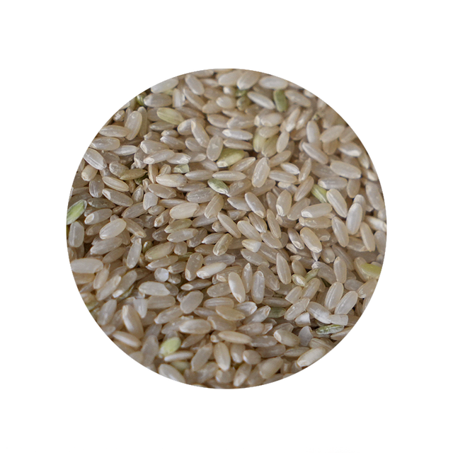 Bulk Foods - Short Brown Rice - Bulk Bin 1654 (25 pounds)