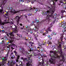 Stretch Mesh Sequin Fabric