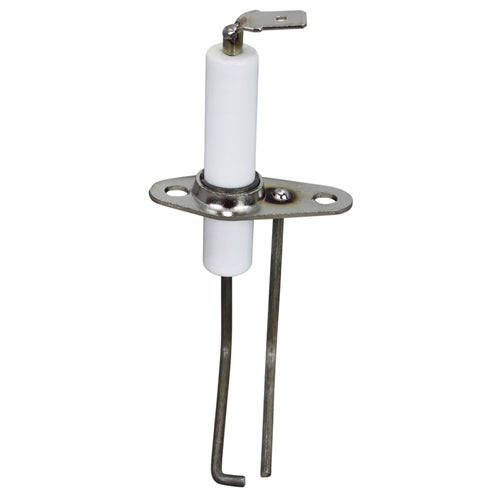 Electrode with 2 Probes