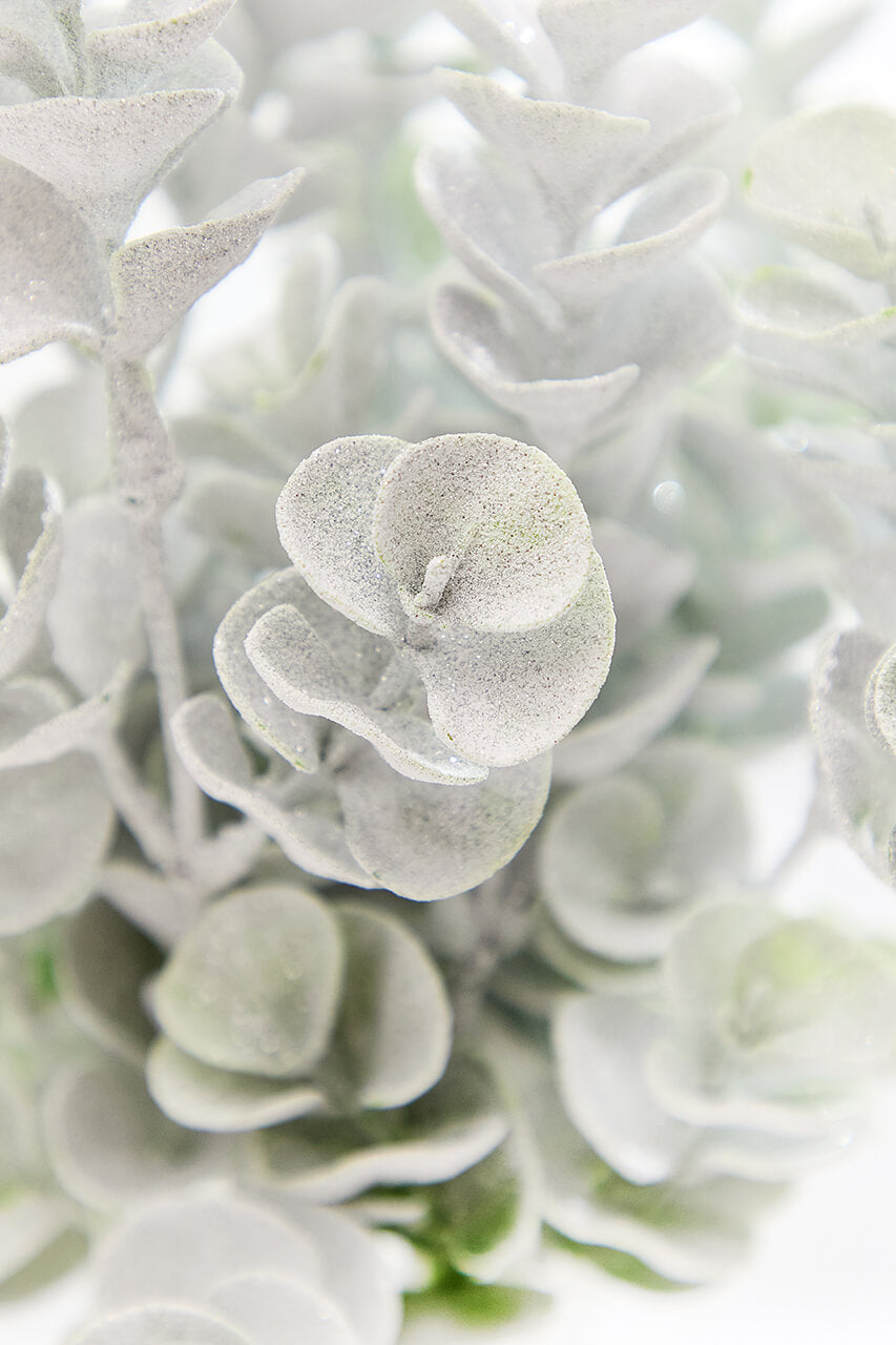 16" Frosted Eucalyptus Bush