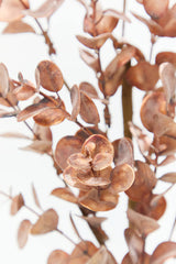 24" Warm Copper Eucalyptus Spray