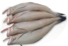 Loitta Fish (Block)