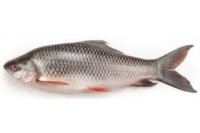 Rohu Fish - 5KG 11 lb