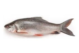Rohu FIsh - 2 KG 4.4 lb