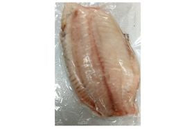 Frozen Tilapia Fillets