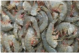 Jumbo Prawn - 2 Pound Bags