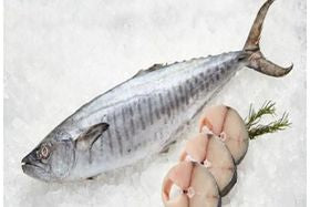 King Fish