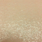 Mini Disc All Over Sequin Fabric