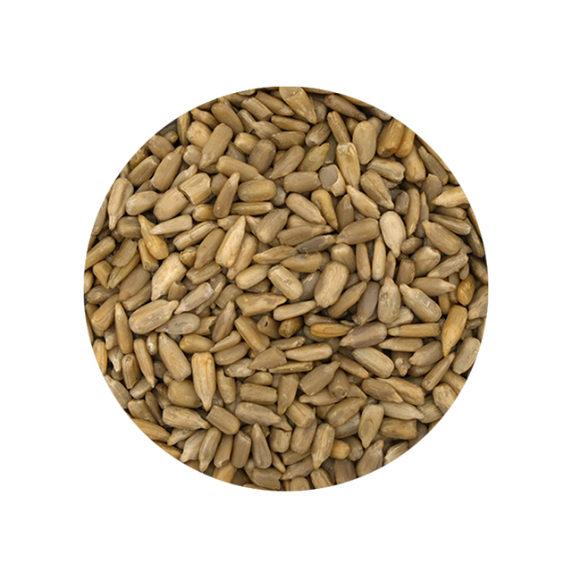 Raw Sunflower Kernels 1 Pound
