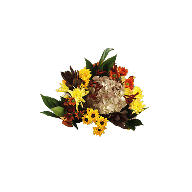 Equinox Fresh Flower Bouquet Seasonal Floral Arrangement Pack