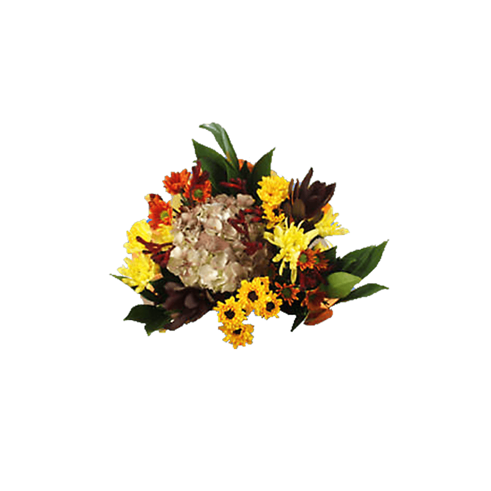 Equinox Fresh Flower Bouquet Seasonal Floral Arrangement Pack