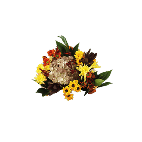 Equinox Fresh Flower Bouquet Seasonal Floral Arrangement Pack