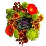 Premium Autumn Hen Bouquet Mix Fresh Seasonal Flower Arrangement