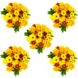 Autumn Delightful Flower Bouquets Fresh Seasonal Bulk Arrangement Set