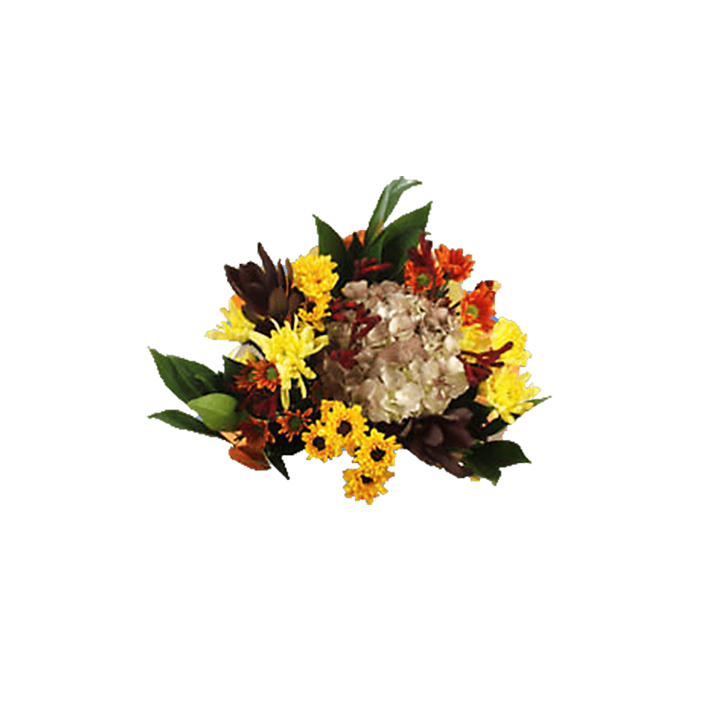 Equinox Fresh Flower Bouquet Seasonal Floral Arrangement Pack