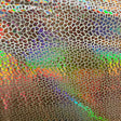 Nylon Spandex Cobra Hologram Sequin Fabric