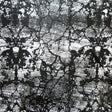 Swim Knit Nylon Spandex Fields Abstract Black Grey