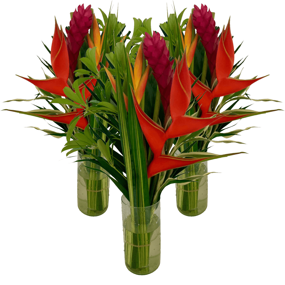 Flat Harmony Tropical Flower Bouquet Fresh Flower Arrangement