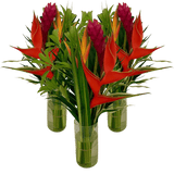 Flat Harmony Tropical Flower Bouquet Fresh Flower Arrangement