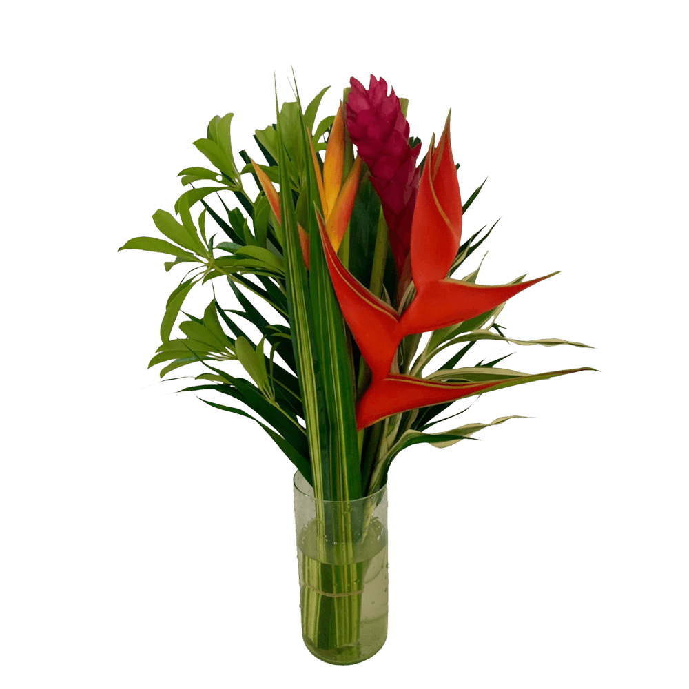 Flat Harmony Tropical Flower Bouquet Fresh Flower Arrangement