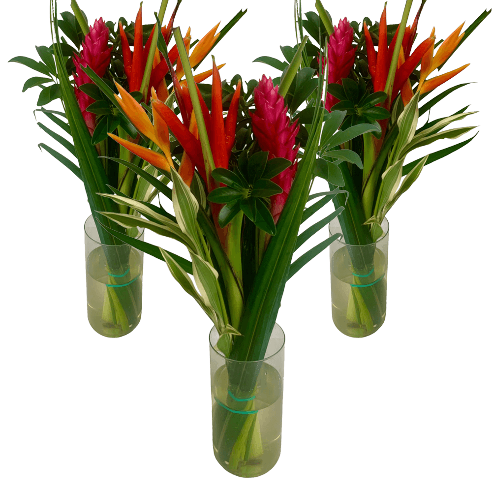 Flat Paradise Vibrant Tropical Bouquet Fresh Flower Arrangement