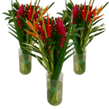 Flat Paradise Vibrant Tropical Bouquet Fresh Flower Arrangement