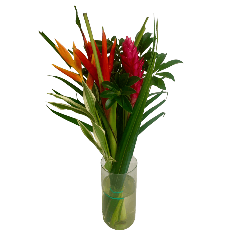 Flat Paradise Vibrant Tropical Bouquet Fresh Flower Arrangement
