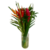 Flat Paradise Vibrant Tropical Bouquet Fresh Flower Arrangement