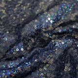 Stretch Mesh Sequin Fabric