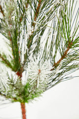 24" Christmas Flocked Pine Spray