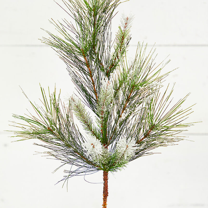 24" Christmas Flocked Pine Spray