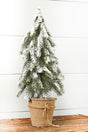 18” Frosted Downswept Pine In Burlap Pot