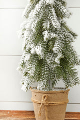 18” Frosted Downswept Pine In Burlap Pot