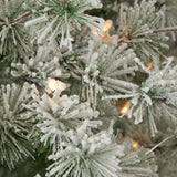6.5' Flocked Winter Fir Tree with 250 Warm White LED Lights