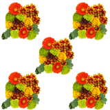 Autumn Mixed Flower Bouquet Fresh Seasonal Floral Arrangement