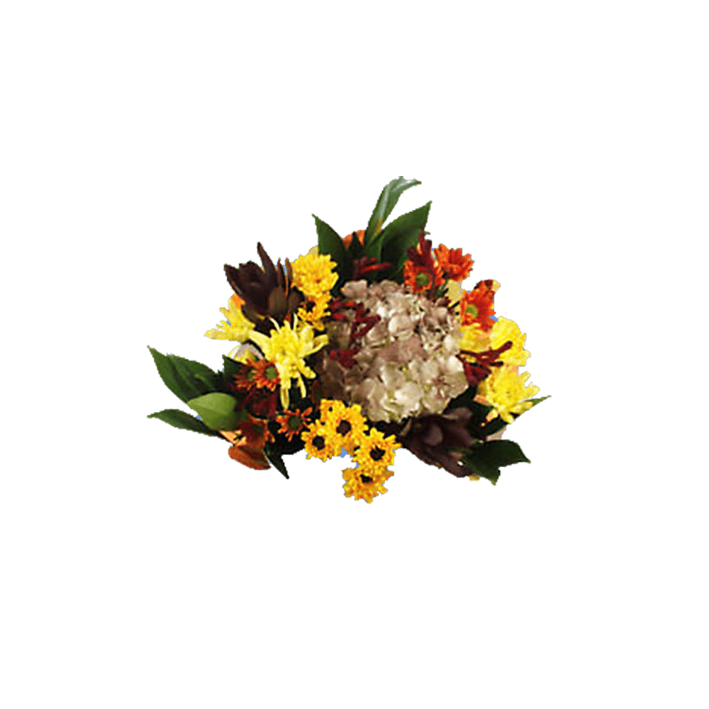 Equinox Fresh Flower Bouquet Seasonal Floral Arrangement Pack