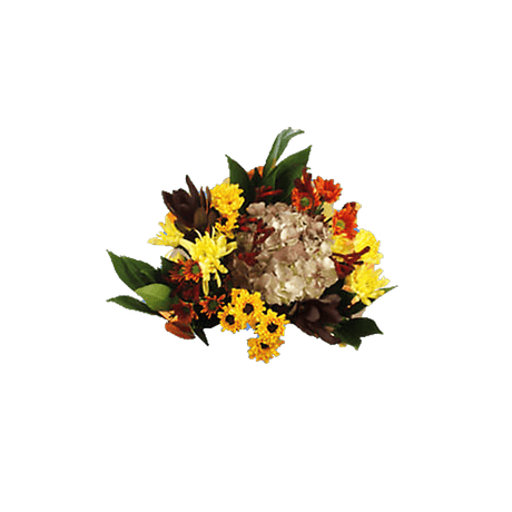Equinox Fresh Flower Bouquet Seasonal Floral Arrangement Pack
