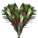 Reina Foliage Bouquet Fresh Greenery Arrangement