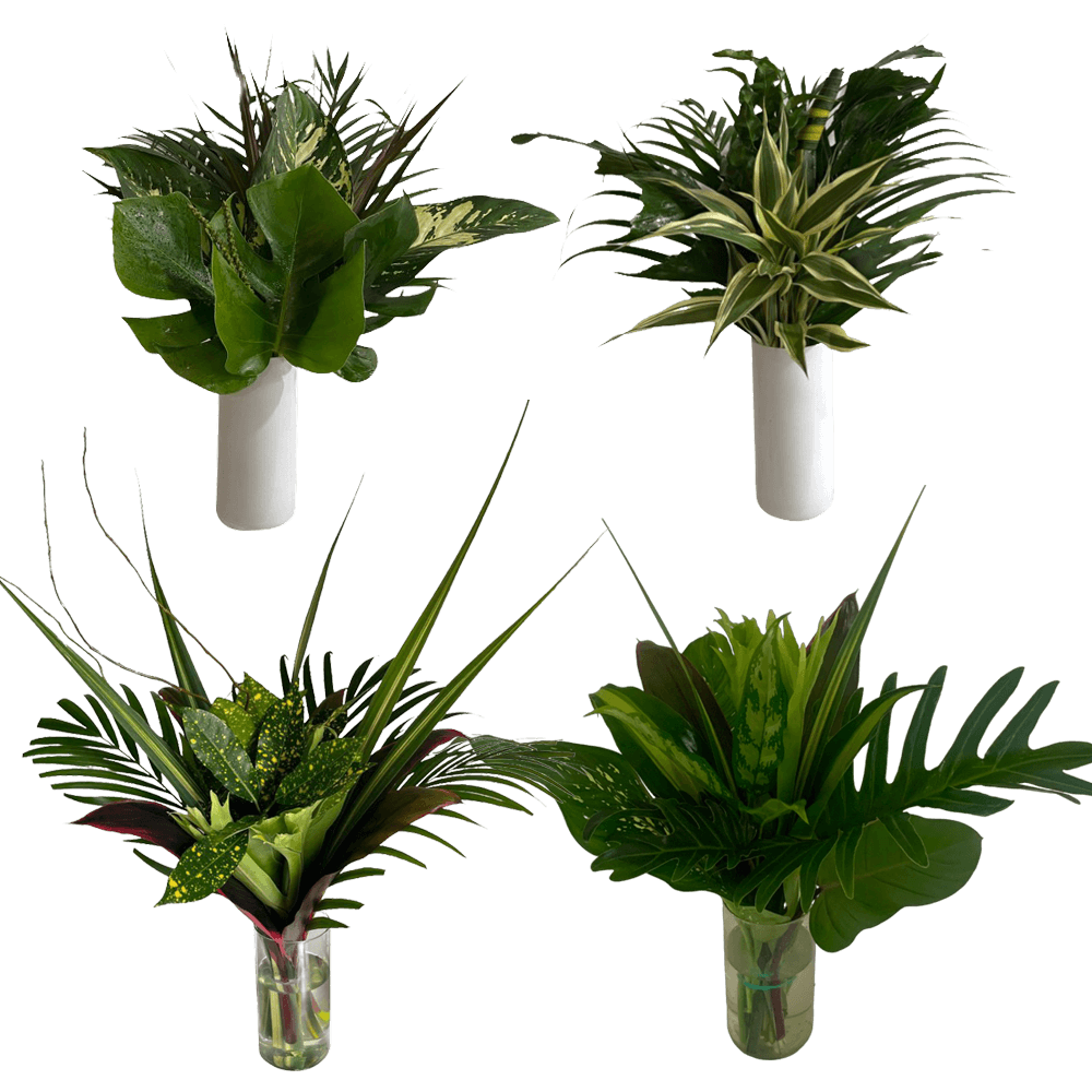 Forest Tropical Foliage Round Bouquet Fresh Greenery