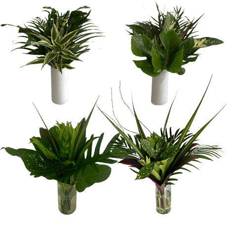 Tropical Greenery Foliage Round Bouquet Fresh Arrangement